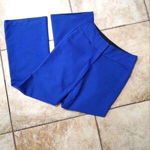 Express Editor Pants